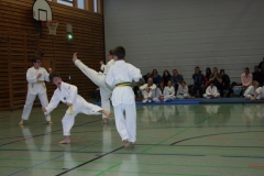 IMG_9730_bearbeitet-1