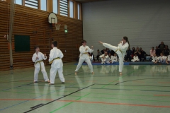 IMG_9733_bearbeitet-1