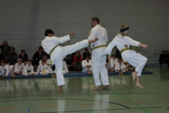 IMG_9736_bearbeitet-1