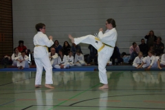IMG_9737_bearbeitet-1