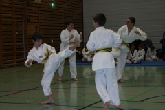 IMG_9738_bearbeitet-1