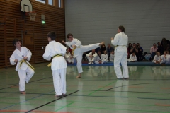 IMG_9741_bearbeitet-1