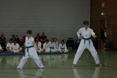 IMG_9743_bearbeitet-1