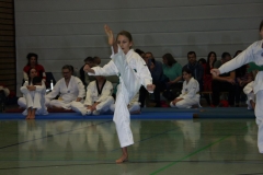 IMG_9751_bearbeitet-1