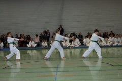 IMG_9761_bearbeitet-1