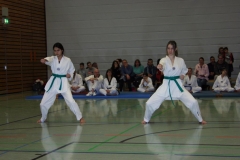 IMG_9765_bearbeitet-1