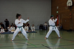 IMG_9772_bearbeitet-1