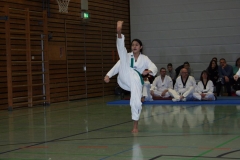 IMG_9774_bearbeitet-1