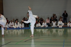 IMG_9778_bearbeitet-1