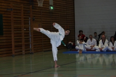 IMG_9783_bearbeitet-1