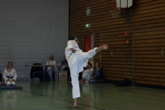 IMG_9784_bearbeitet-1