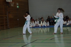 IMG_9785_bearbeitet-1