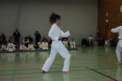 IMG_9791_bearbeitet-1
