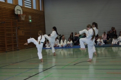 IMG_9792_bearbeitet-1