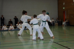 IMG_9798_bearbeitet-1