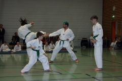 IMG_9803_bearbeitet-1