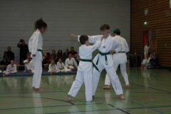 IMG_9806_bearbeitet-1
