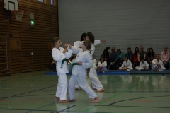 IMG_9807_bearbeitet-1