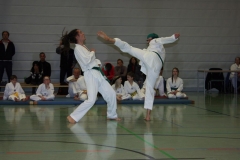 IMG_9820_bearbeitet-1