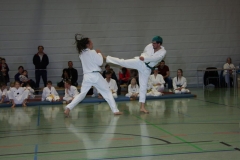 IMG_9828_bearbeitet-1