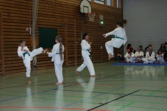 IMG_9829_bearbeitet-1