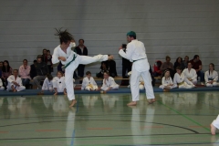 IMG_9831_bearbeitet-1