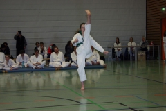 IMG_9840_bearbeitet-1