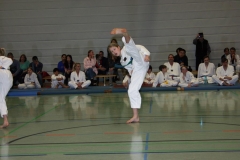 IMG_9844_bearbeitet-1