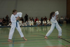 IMG_9853_bearbeitet-1