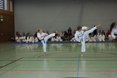 IMG_9854_bearbeitet-1