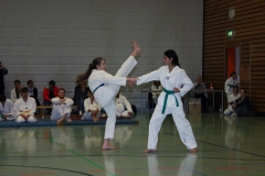 IMG_9863_bearbeitet-1