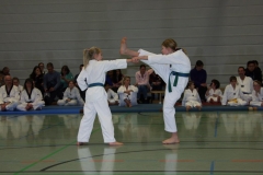 IMG_9864_bearbeitet-1