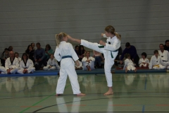 IMG_9865_bearbeitet-1