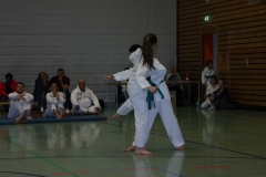 IMG_9867_bearbeitet-1
