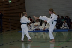 IMG_9874_bearbeitet-1