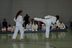 IMG_9878_bearbeitet-1
