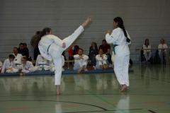 IMG_9879_bearbeitet-1