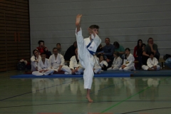 IMG_9891_bearbeitet-1