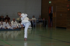 IMG_9898_bearbeitet-1
