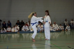IMG_9906_bearbeitet-1