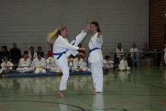 IMG_9911_bearbeitet-1