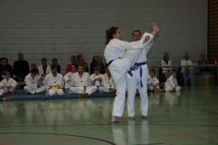 IMG_9914_bearbeitet-1