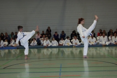 IMG_9916_bearbeitet-1