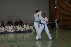 IMG_9930_bearbeitet-1