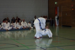 IMG_9931_bearbeitet-1