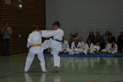 IMG_9932_bearbeitet-1