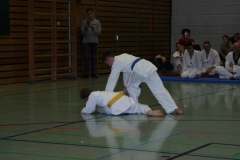 IMG_9933_bearbeitet-1