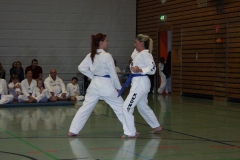 IMG_9934_bearbeitet-1