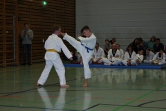 IMG_9935_bearbeitet-1