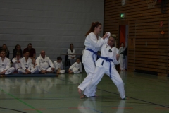 IMG_9938_bearbeitet-1